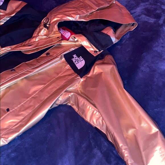 Supreme the north face metallic mountain